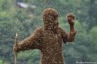 Как избавиться от огромных диких пчел? 