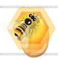 Помогите начинающему пчеловоду. Пчелы и мед на...